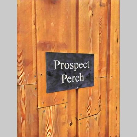 Prospect Perch - Studio Apartment, ويلْزْ المظهر الخارجي الصورة