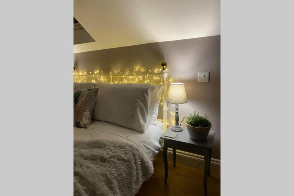 Prospect Perch - Studio Apartment, ويلْزْ المظهر الخارجي الصورة