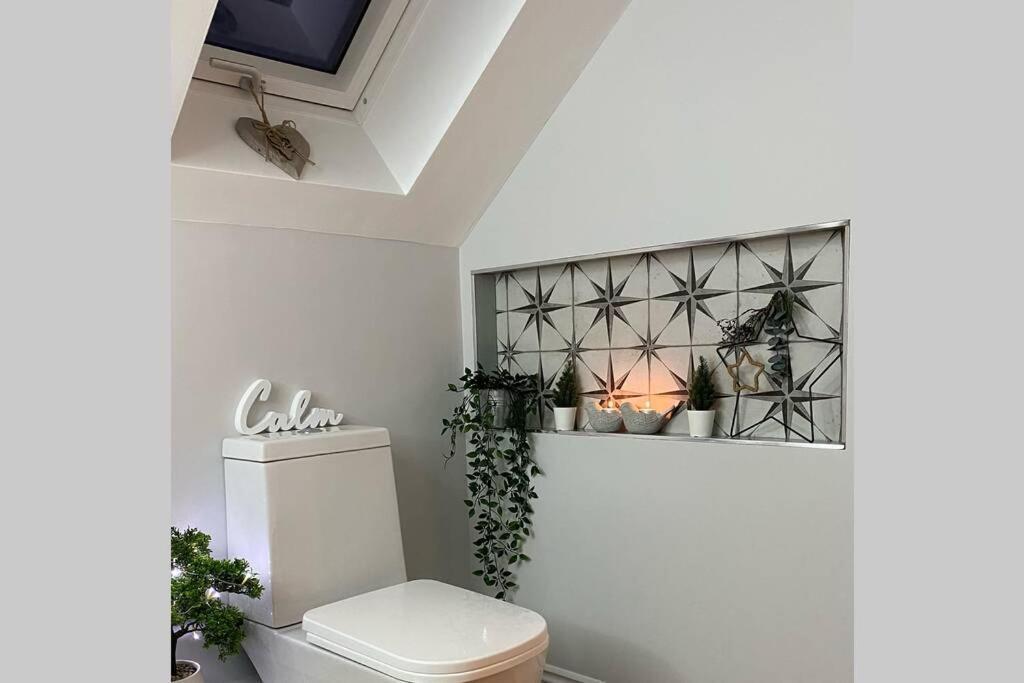 Prospect Perch - Studio Apartment, ويلْزْ المظهر الخارجي الصورة